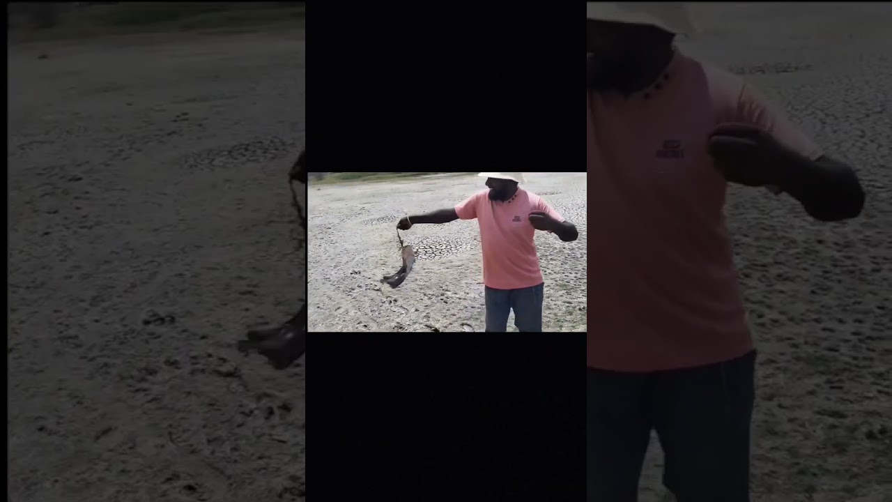 Fishing video @Nani's Gang Village Life