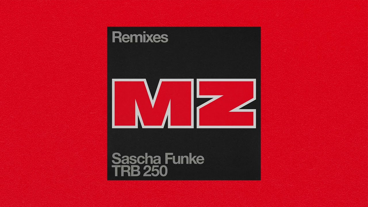 Sascha Funke - MZ (Roman Fl&uuml;gel Remix)