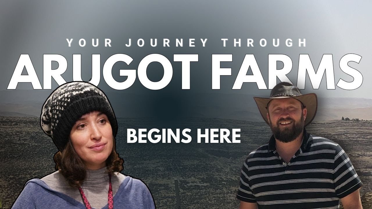 The farm on the Judean frontier