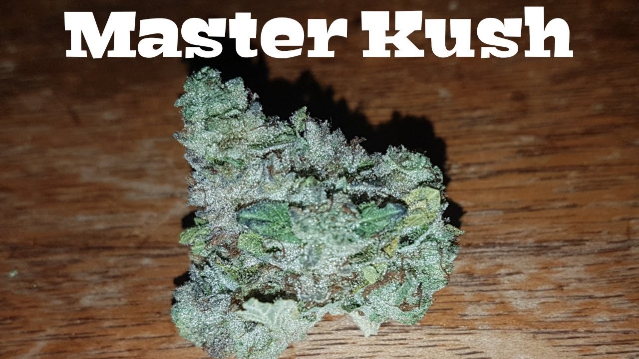 Strain Review - Master Kush