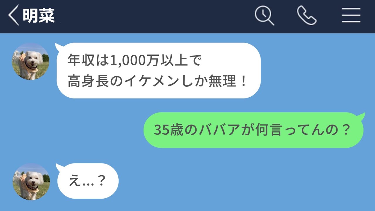 【LINE】男性のスペックに拘りすぎた35歳未婚女性の末路www【声あり再UP】
