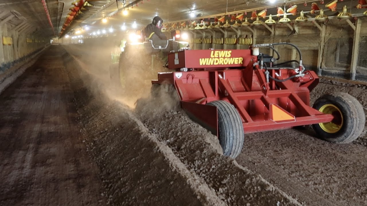 Site Unseen Windrower Auction Purchase - Hope It's Not A Lemon! Rolling Chicken Litter