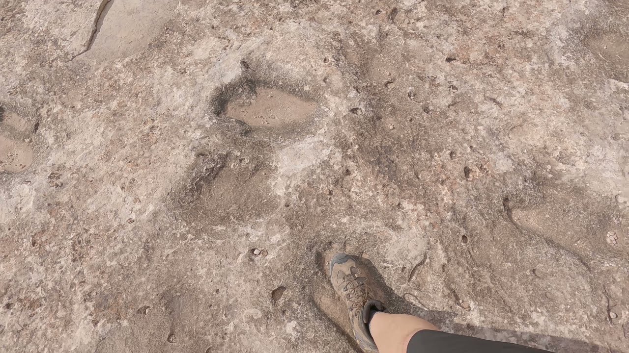 Exploring Utah | Best Dinosaur Footprints | Stomping Ground Trail near Green River, Utah!