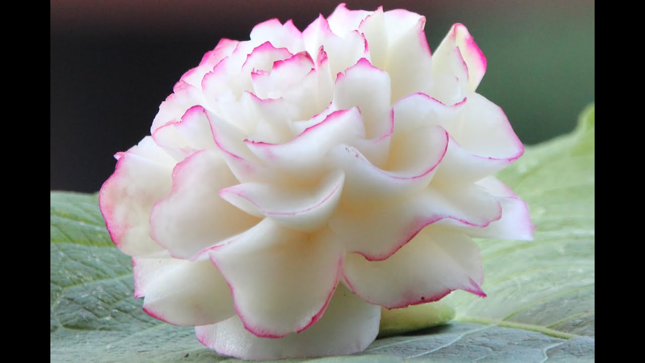 #18 Darmowy kurs carvingu piwonia z kalarepy / Free carving course kohlrabi peony