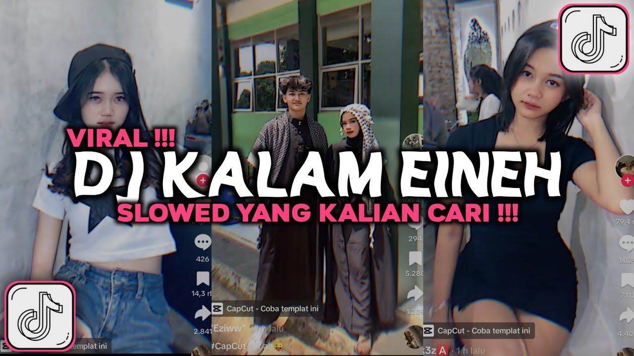 DJ KALAM EINEH YALI YALILI BOOTLEG SLOWED VIRAL TIKTOK 2024