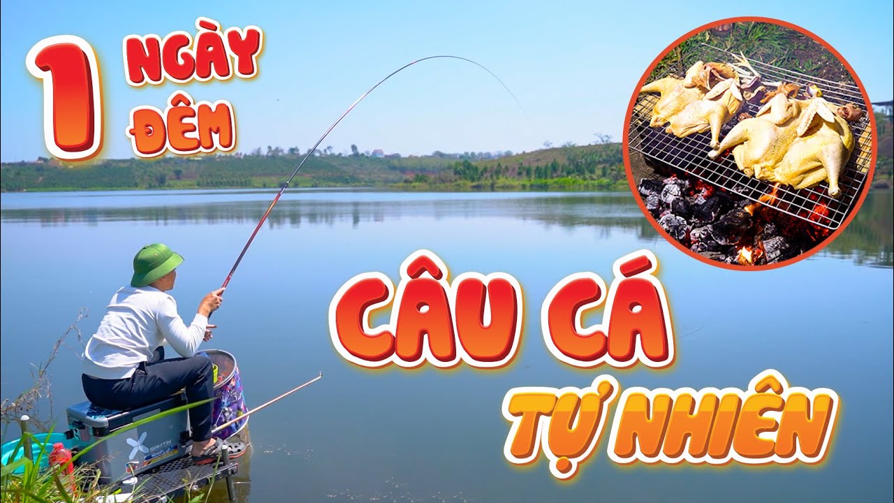 Bay Từ Bắc Vào Nam CÂU CÁ TỰ NHIÊN - 1 NGÀY 1 ĐÊM Bằng Mồi GUF Gấu