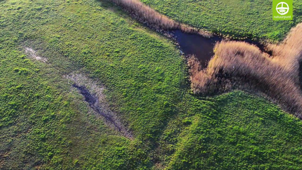 Vlieg mee over de Uitkerkse polder