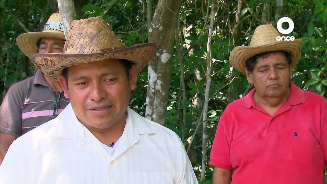 Hagamos que suceda - Sembrando vida: la transformación del campo (08/09/2024)