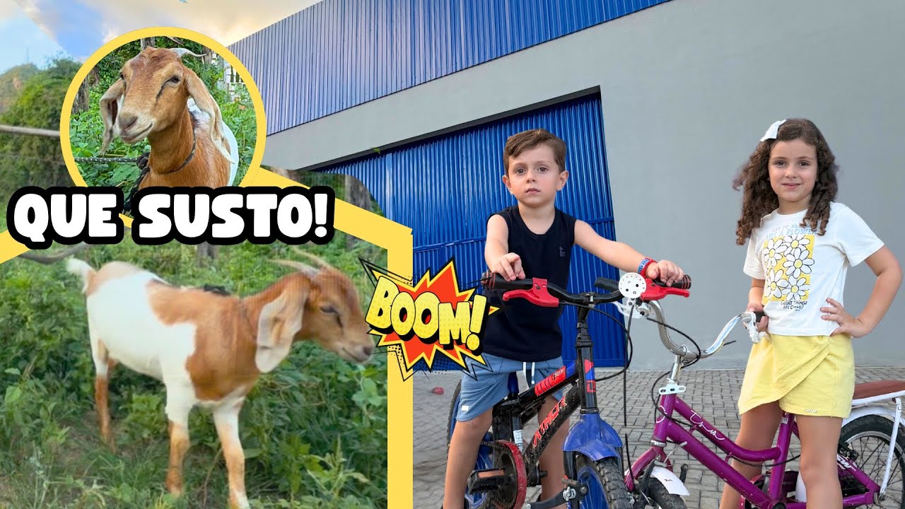 Laura e Gabriel conhecem um BODE no passeio de bicicleta 🥰🐐🚲