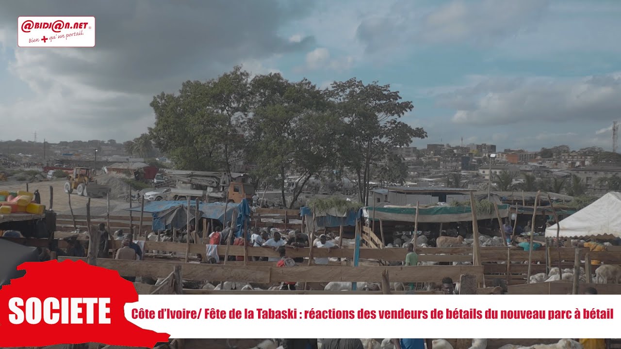 Côte d’Ivoire/ Fête de la Tabaski: réactions des vendeurs de bétails du nouveau parc à bétail