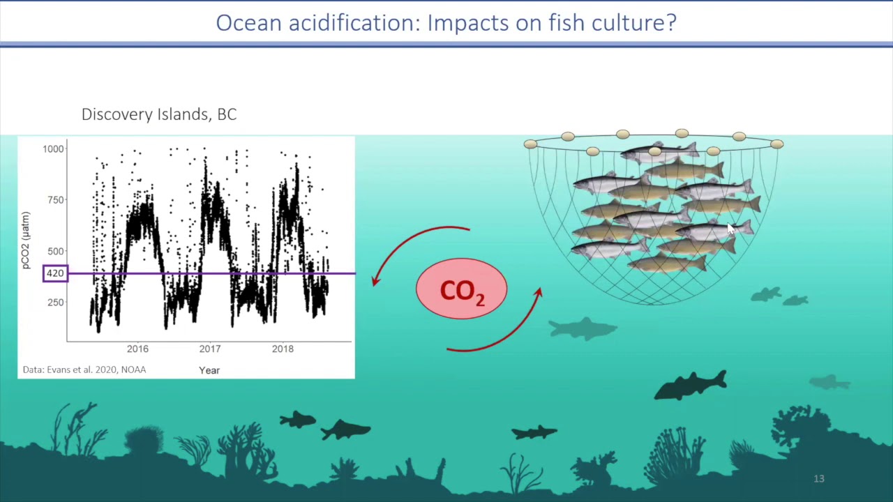 Effects of environmental parameters on early life of commercial fishes, implications for aquaculture