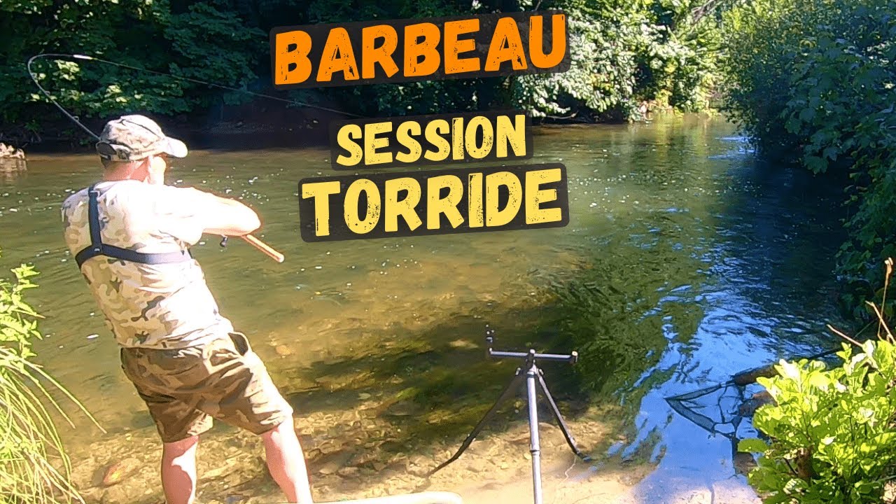 Du Barbeau sous un soleil de plomb, un vrai défi !  |  Une session torride en perspective