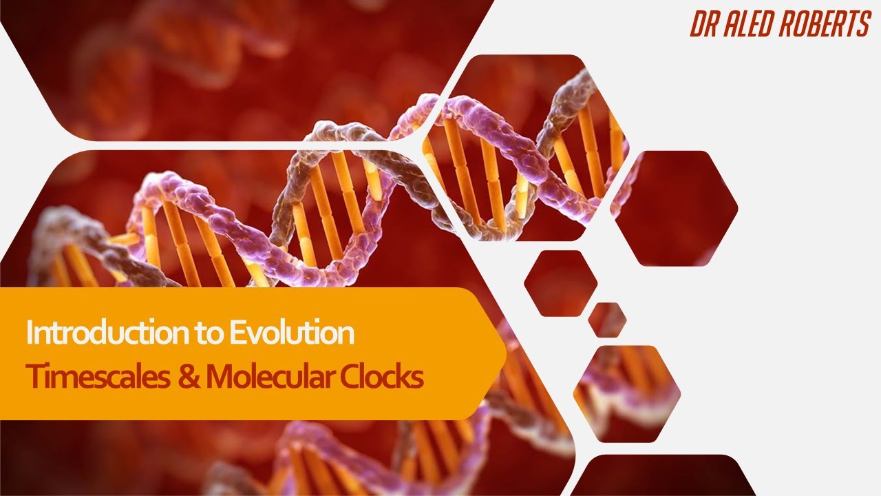Evolution Timescales & Molecular Clocks