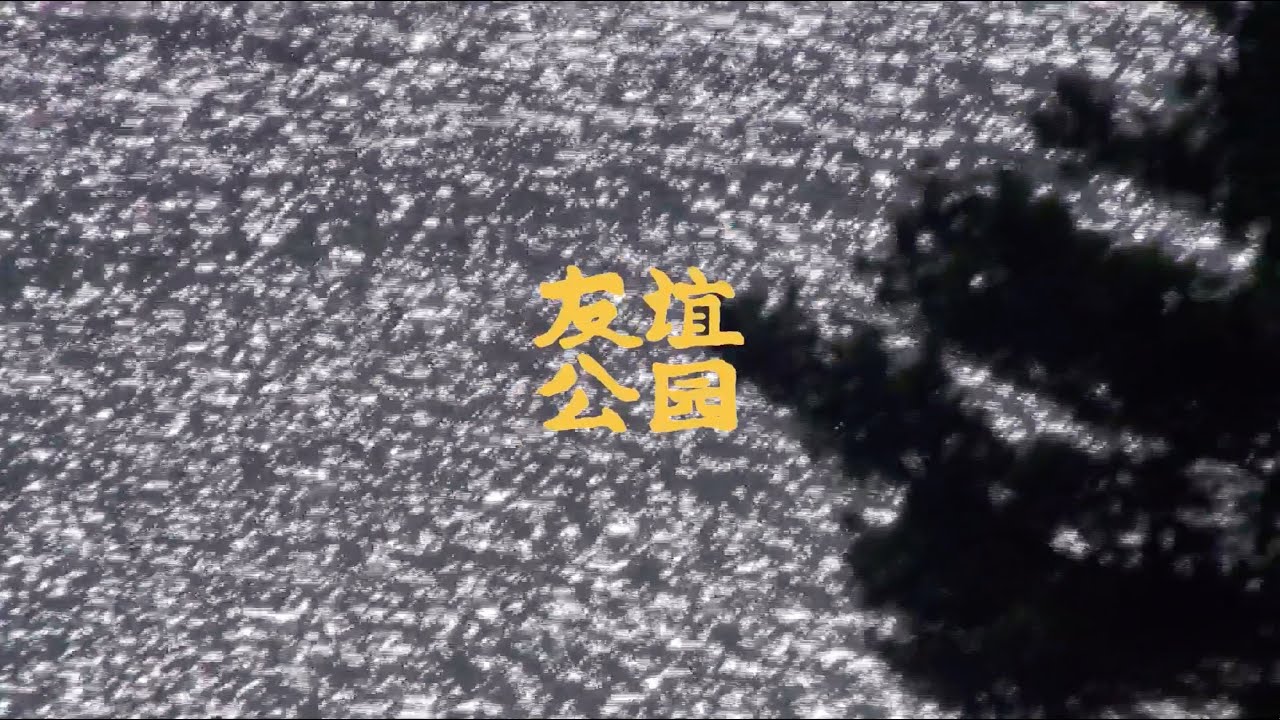 友谊公园 You Yi Gong Yuan vol.1, a gentle night in brooklyn...