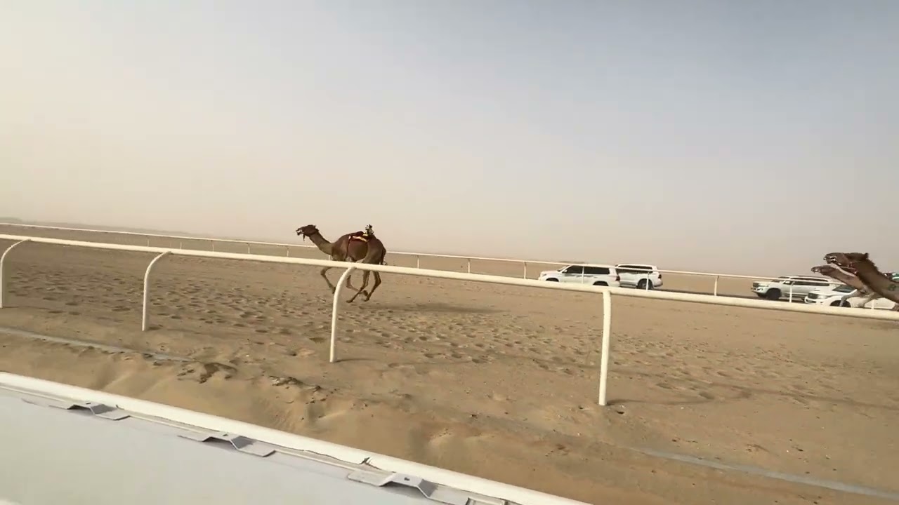 ٤ مرضي ملك حفيظ بن محمد بن حفيظ