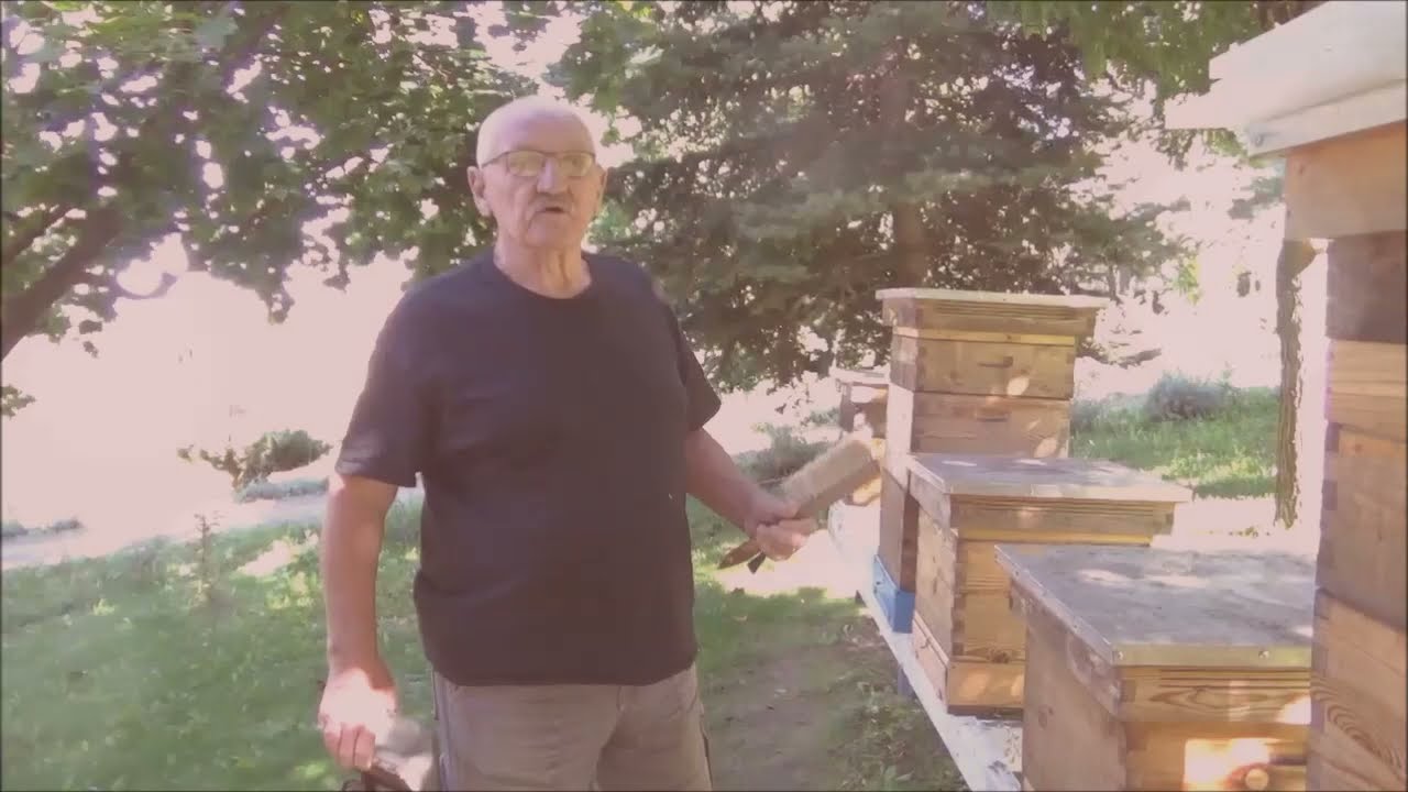 Łatwe i bezpieczne połączenie 2 rodzin. Zimowla wielu matek w jednej rodzinie. Część I.