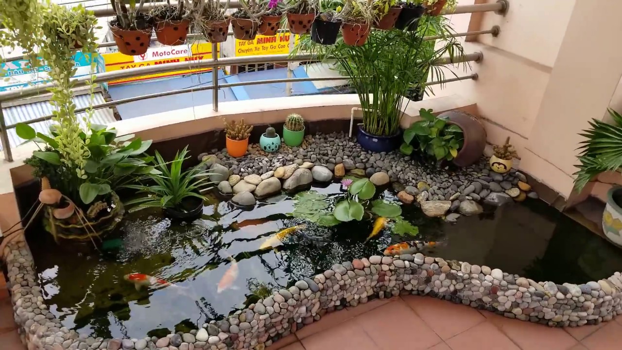 The beautiful mini koi fish pond in the balcony | Hồ cá chép Nhật nhỏ tuyệt đẹp trên ban công.