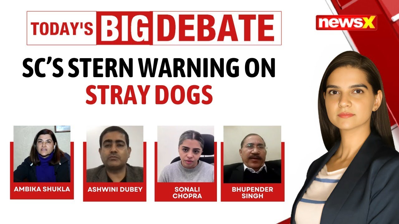 Stray Dog Menace: Supreme Court Says Public Safety Cannot Be A Gamble | NewsX