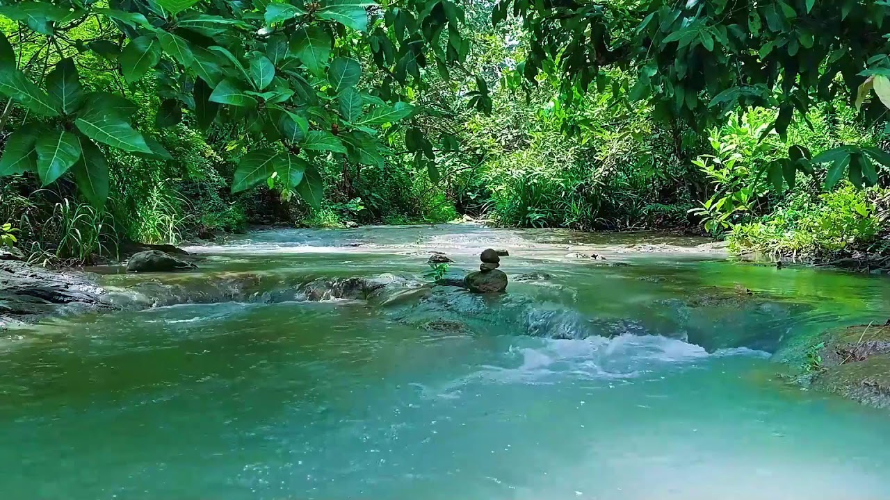 Deep Sleeping Relaxing Music 🌲 Mountain Stream Ambience for Restful Nights