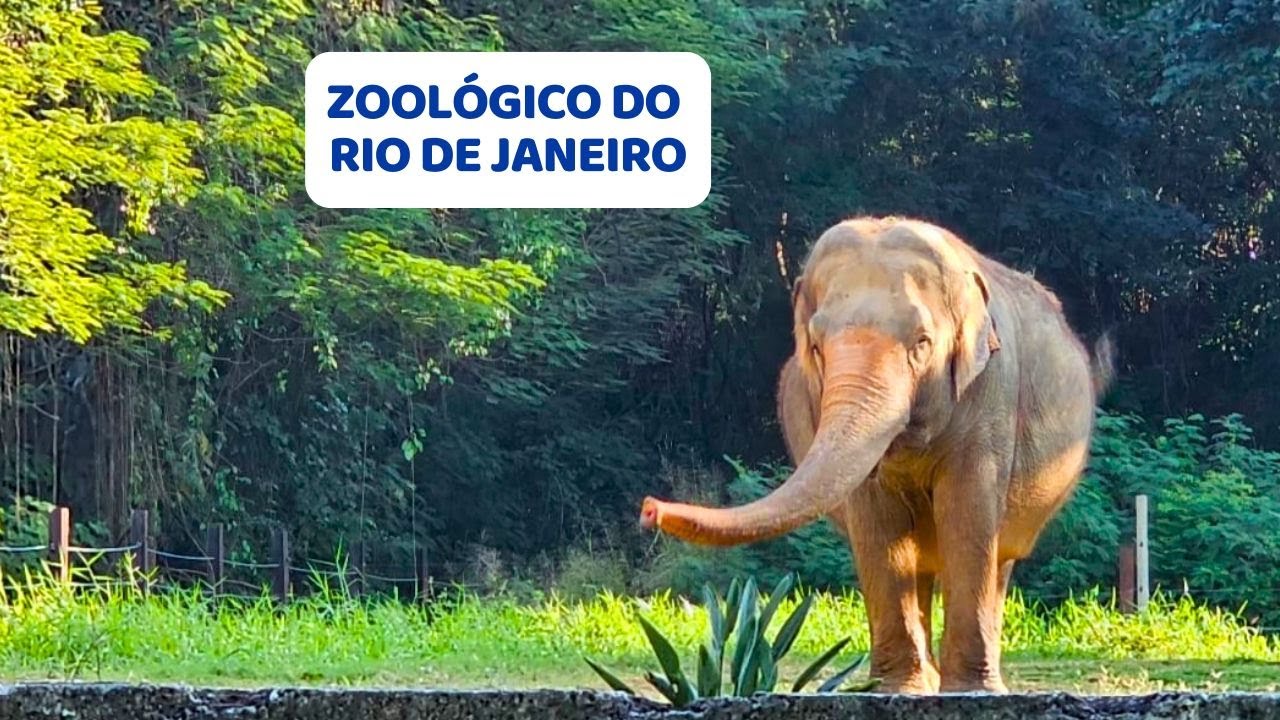 Zoológico do Rio de Janeiro - BioParque - 14° Temp - Ep 103