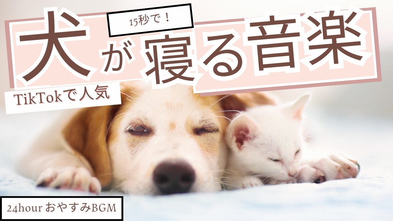 24時間【15秒で犬が寝る音楽 】TikTokでバズった効果実証済み睡眠リラックス＃I know