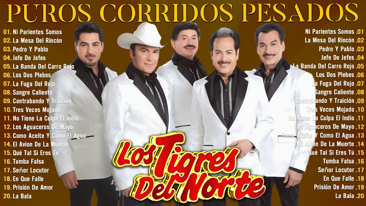 1 HORA DE LOS TIGRES DEL NORTE MIX ÉXITOS CANCIONES 2025 - LOS TIGRES DEL NORTE MIX PUROS CORRIDOS