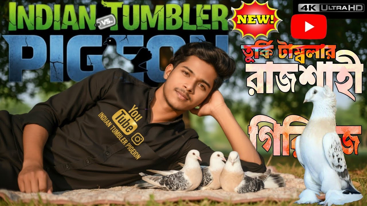🌟INDIAN🔥Rajshahi Giriraj PIGEON V'S 🔥TURKISH 𔒝🥵