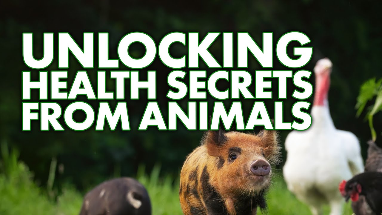 Can Animals Cure Diseases?  | Strange & Suspicious TV Show