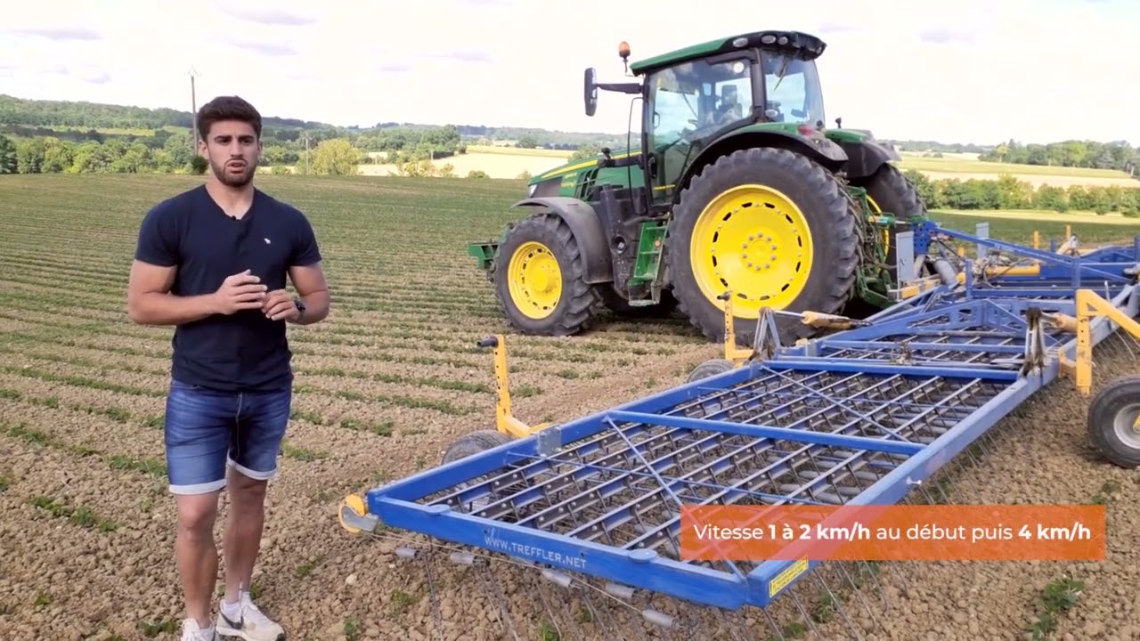 Itinéraire technique du soja bio - Focus sur le désherbage mécanique : herse étrille et bineuse