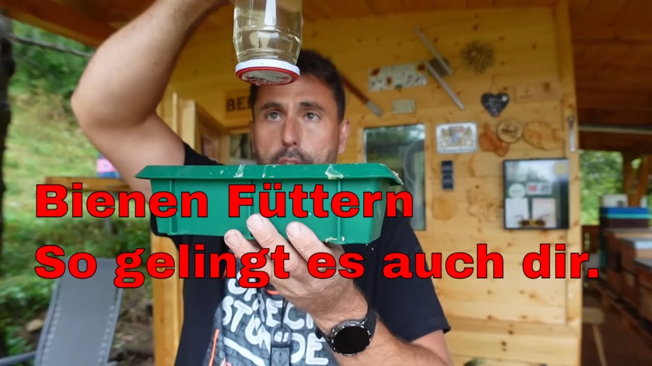 Bienen richtig f&uuml;ttern bei K&auml;lte: So &uuml;berleben sie den Winter!