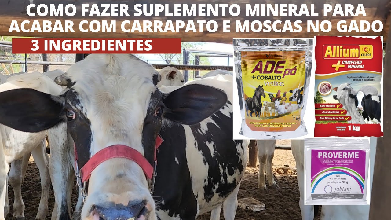 MINERAL PARA GADO, CAVALO.  ELIMINA CARRRAPATOS E MOSCAS. FÁCIL DE FAZER