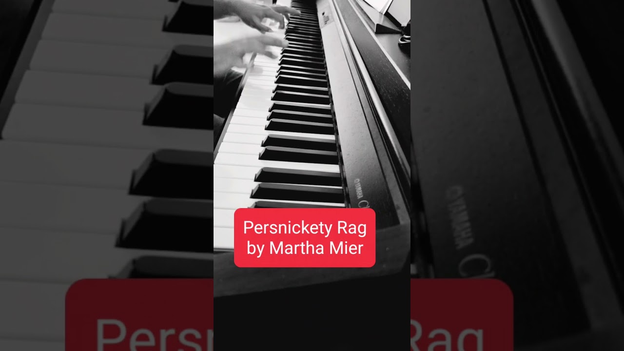 Excerpt from Persnickety Rag by Martha Mier