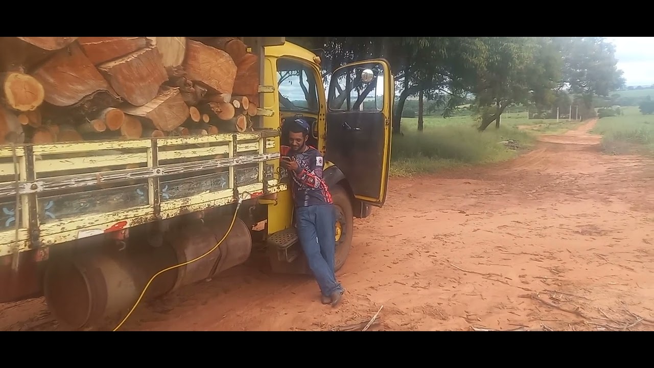 Acabei de carregar o caminhão Mercedes 1113 na fazenda de lenha de madeira sabadão