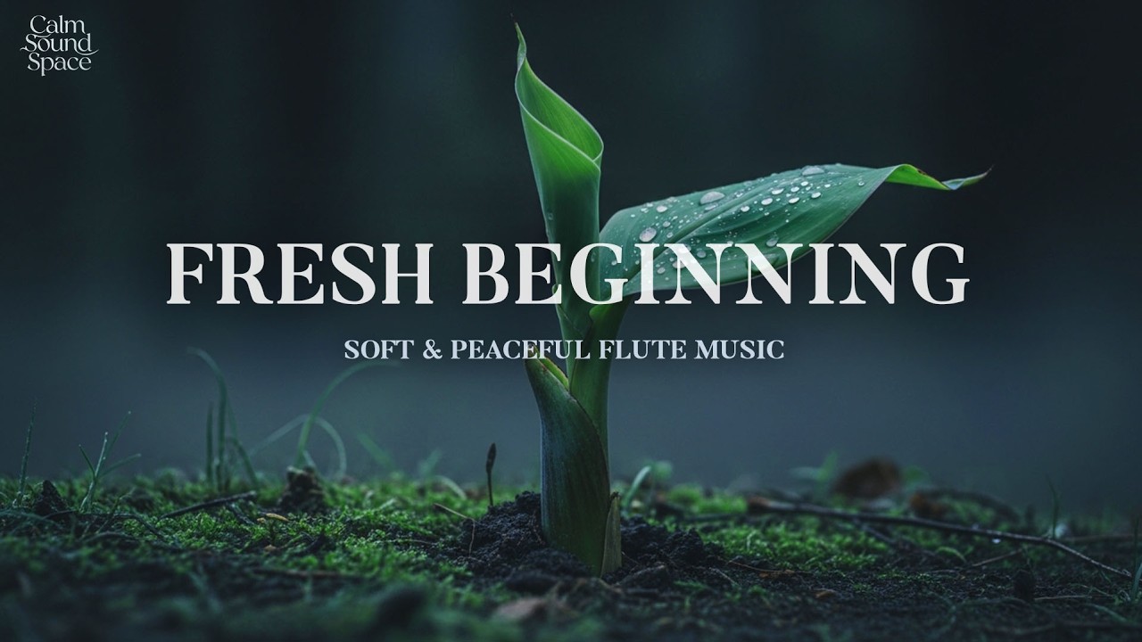 Soft and gentle flute music for quiet nights 🎵 helping you relax fully and sleep deeply 😴✨