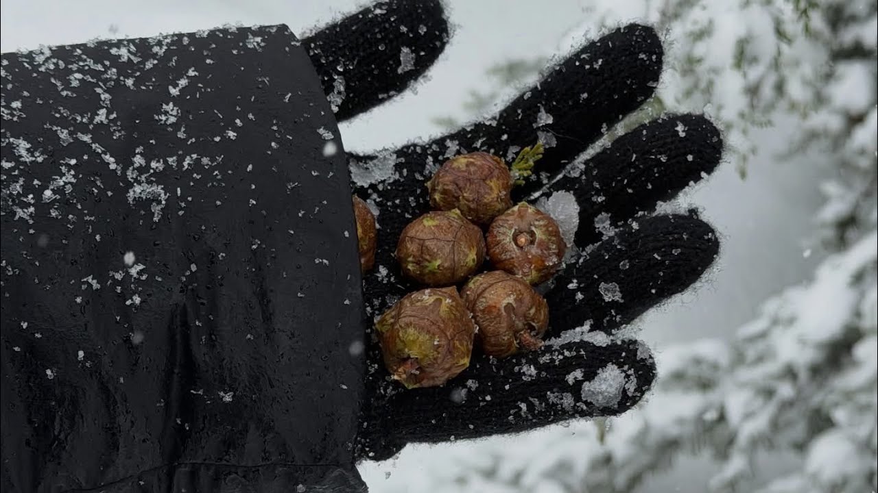 روتين سريع والجو 🥶 عاصفة ثلجية❄️ وأطيب اكلة يحبوها كل العراقين 😍