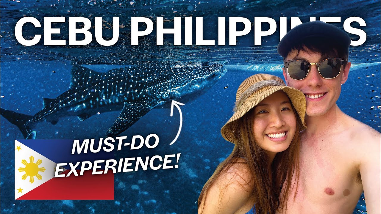 Cebu's Whale Sharks & Kawasan Falls: Philippines Ultimate Experience 🇵🇭