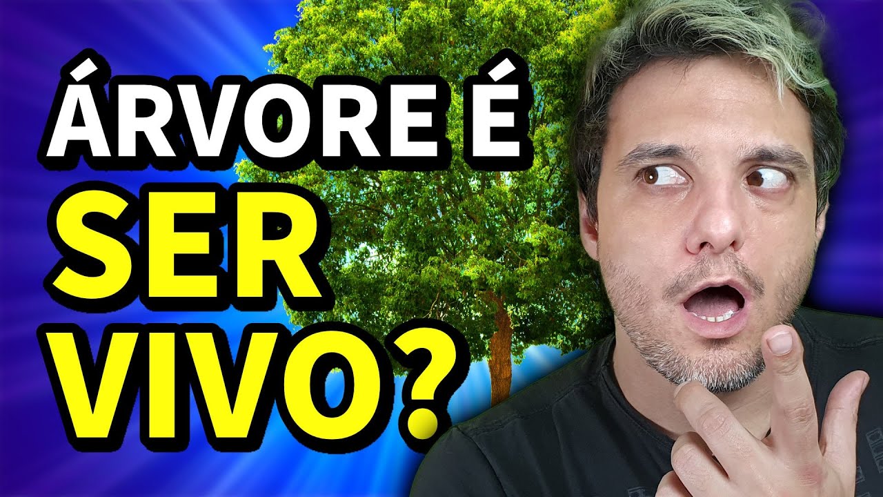 ÁRVORE não é SER VIVO em Japonês?! | NihonGO