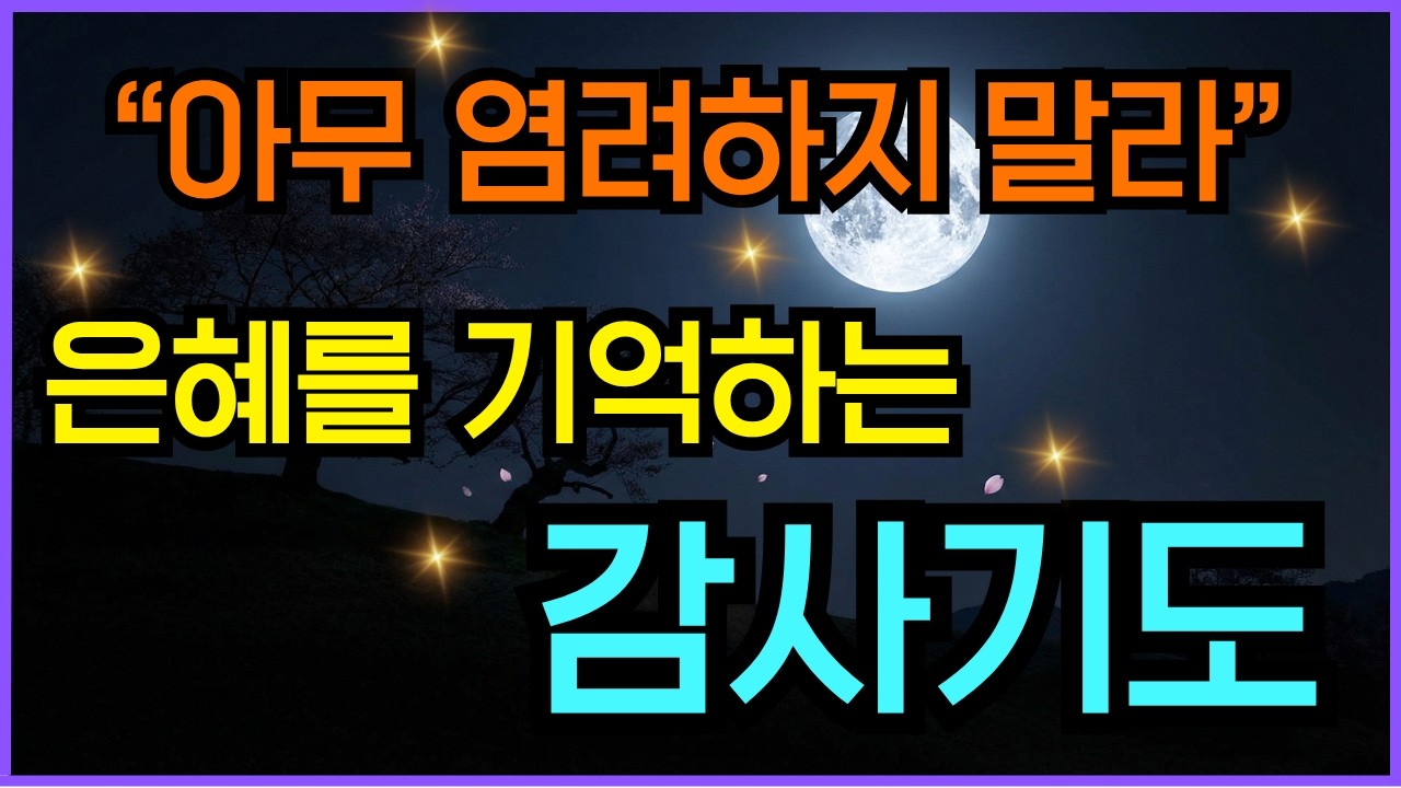 잃어버린 감사를 회복하는 아침 저녁 명상 | 40구절로 드리는 은혜를 기억하는 감사 기도 | 1시간 기도 듣기 | 성경말씀듣기 | 시편23편 | 말씀묵상 | 기독교명언