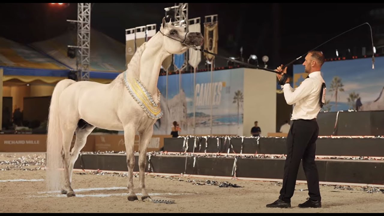 This is how you conquer Europe.Watch Berlin MP shine at GCAT Cannes!