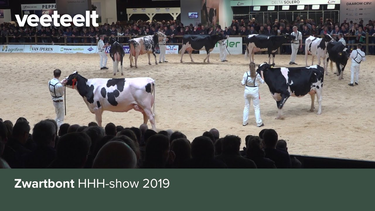 Zwartbont HHH-show 2019