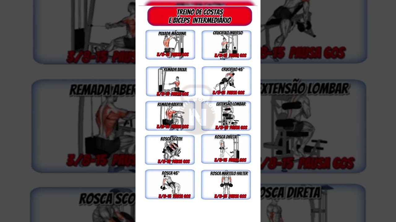 Treino de Costas E Biceps para n&iacute;vel intermedi&aacute;rio, fa&ccedil;a os exerc&iacute;cios conforme descrito e tenha um