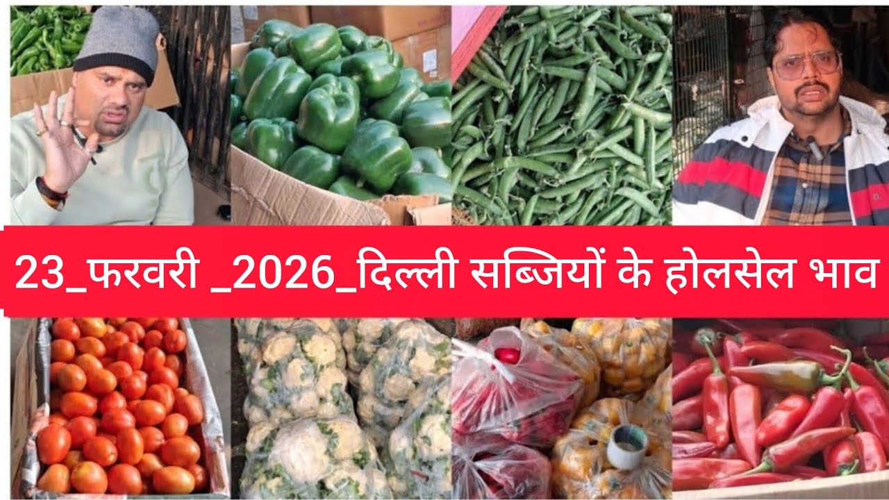 February 23, 2026 दिल्ली सब्जियों के भाव delhi vegetables market delhi fruit market #vegetables