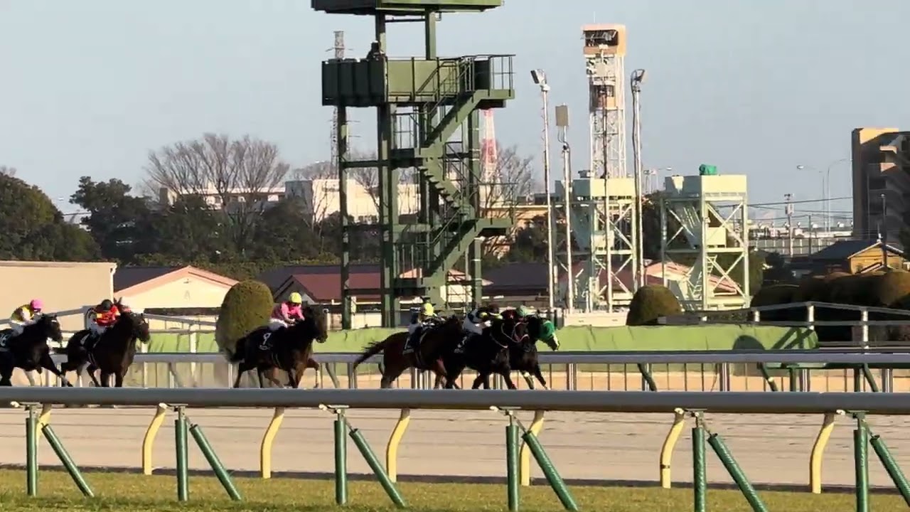 ［現地観戦］2026.2.22（日）東京12R 大島特別