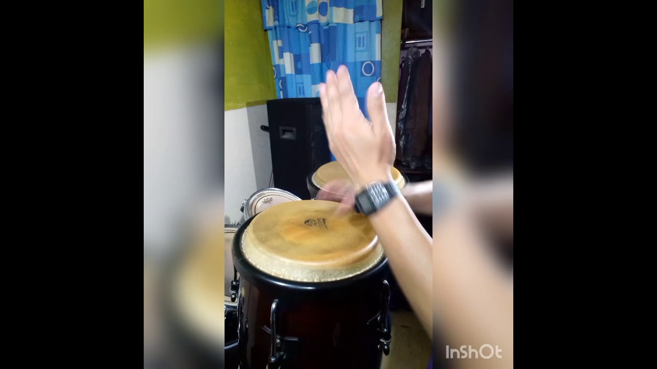 REGRESA MI VIDA CAÑAVERAL EN CONGAS