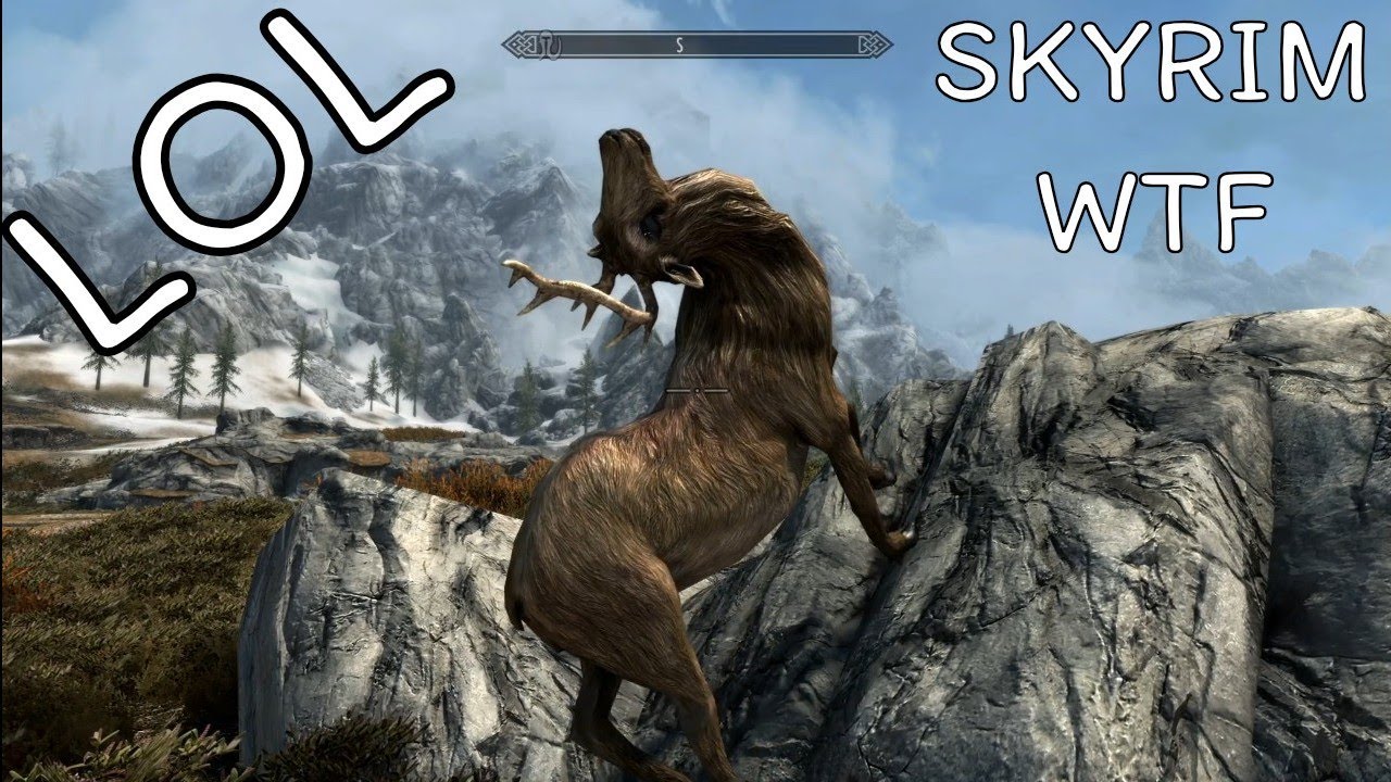 Skyrim-Funny Moment...