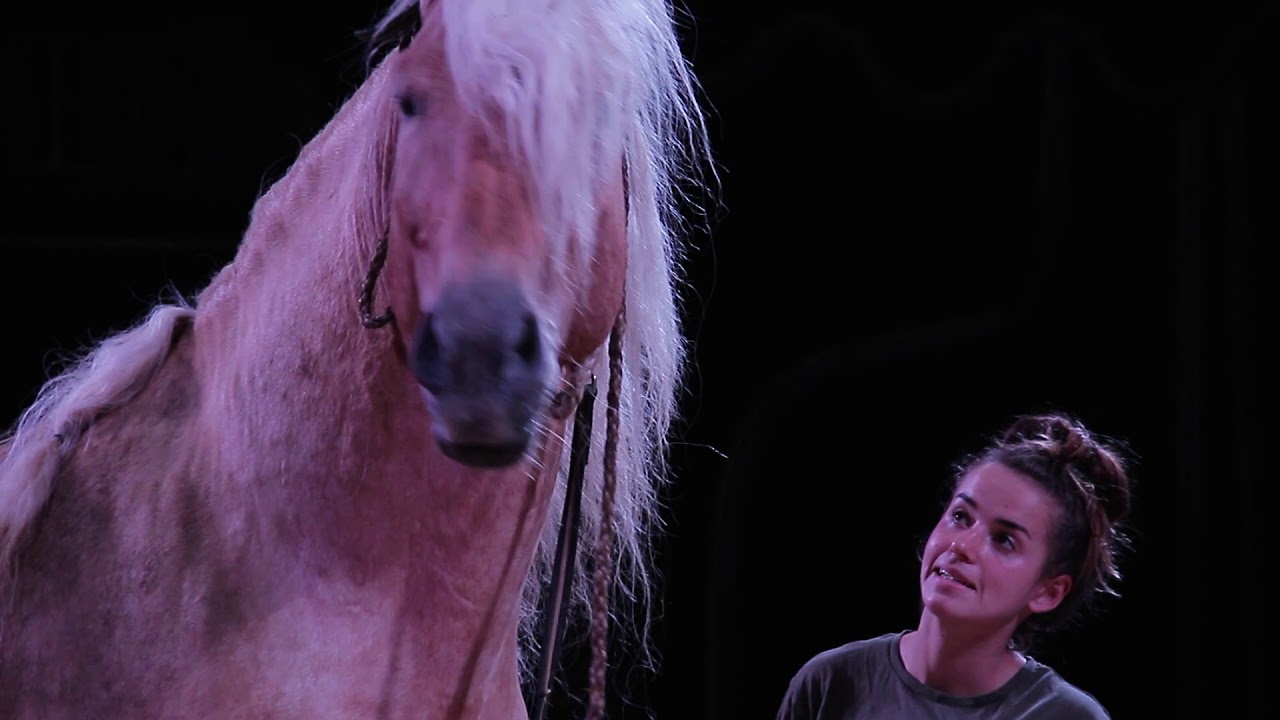 Einblick in unsere Tierhaltung Teil 2