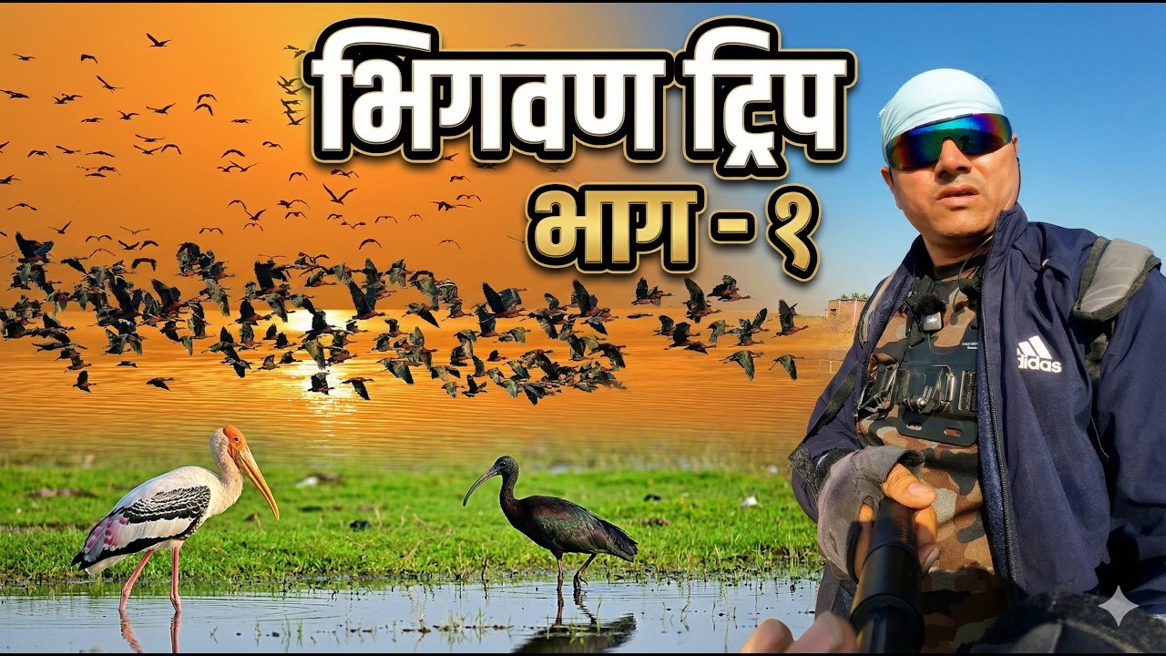 Pune to Bhigwan Scooty Ride | Bird Watching & Sirsufal Temple | Solo Trip Marathi Vlog (PART -1)