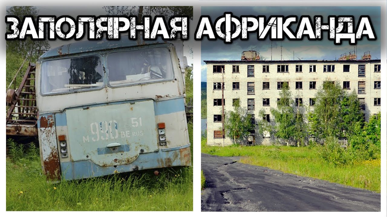 ✔️Африканда - это... ❗️Что такое Африканда❓