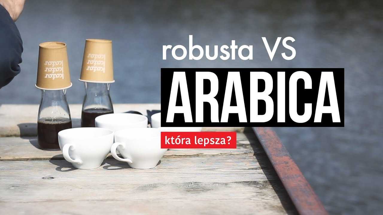 Kawa Arabica vs Robusta - r&oacute;żnice. Kt&oacute;ra lepsza? Czajnikowy.pl