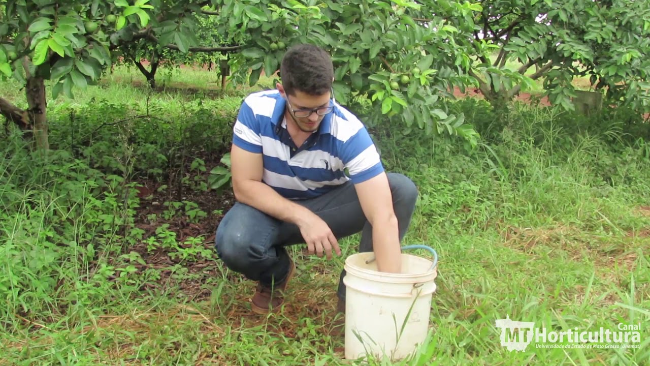 Preparo e utilização da Calda Bordalesa